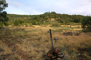 feature photo