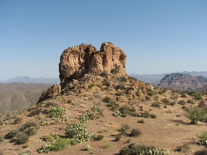 feature photo