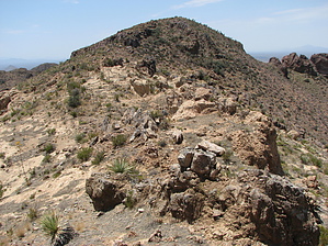 feature photo