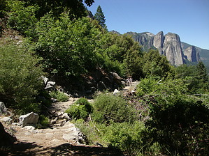 feature photo
