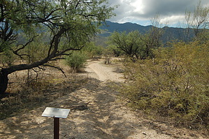 feature photo