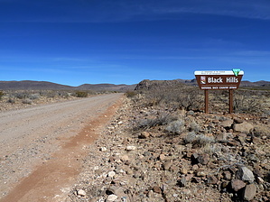 feature photo