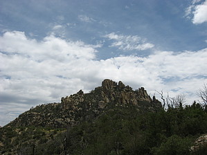 feature photo