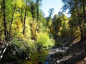 feature photo