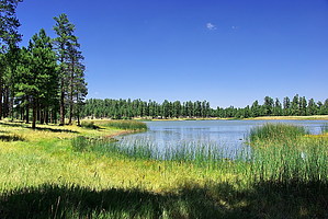 feature photo
