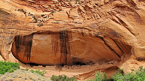 feature photo
