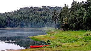 feature photo