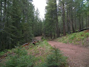 feature photo