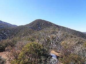 feature photo