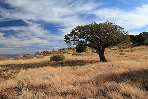 feature photo