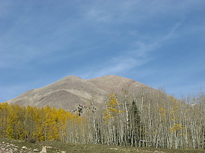 feature photo