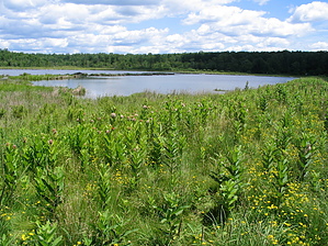 feature photo