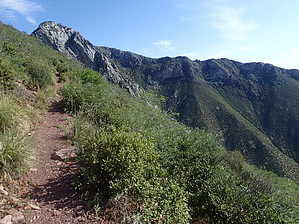 feature photo