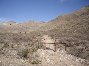 feature photo