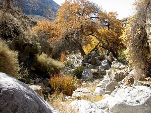 feature photo