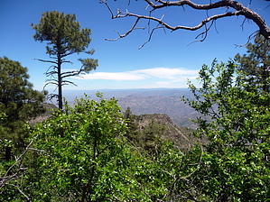 feature photo