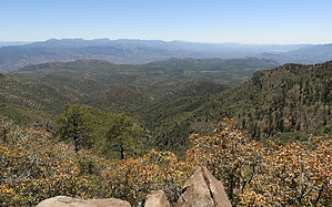 feature photo