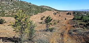 feature photo