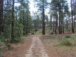 feature photo