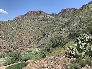 feature photo