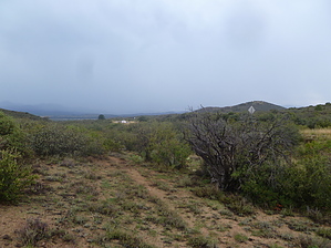 feature photo