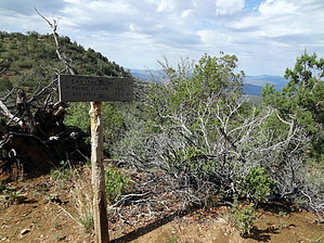 feature photo
