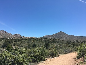feature photo