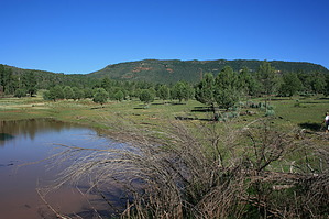 feature photo
