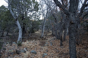 feature photo