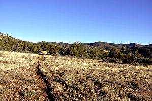 feature photo