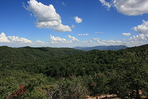 feature photo