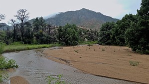 feature photo