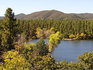 feature photo