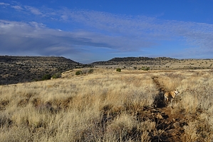 feature photo