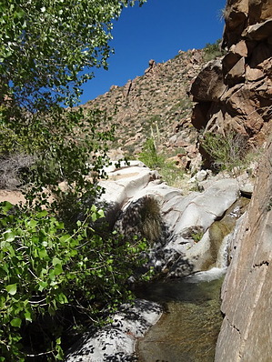 feature photo