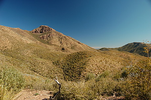 feature photo