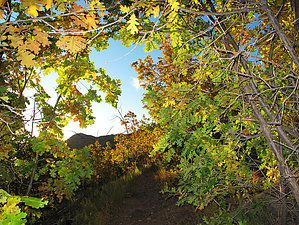feature photo