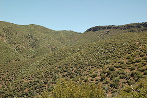 feature photo