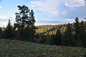 feature photo