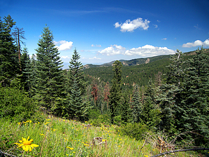 feature photo