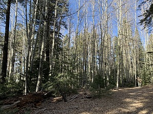 feature photo