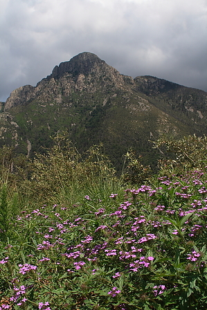 feature photo