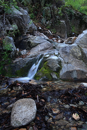 feature photo