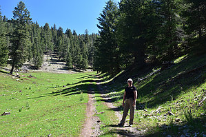 feature photo