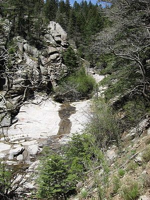 feature photo