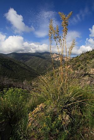 feature photo