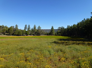 feature photo
