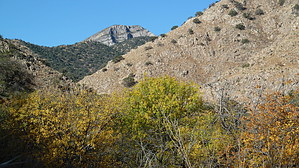 feature photo