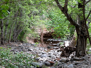 feature photo