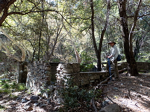feature photo